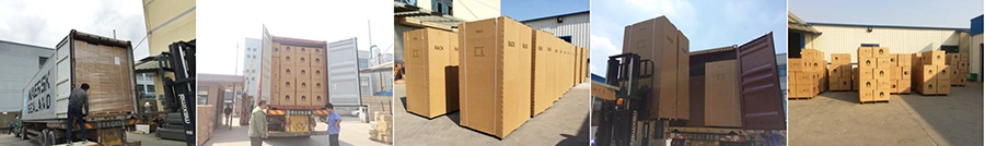 Tn-007b Single Section Wall Mount Network Cabinet with Flat Packing Structure